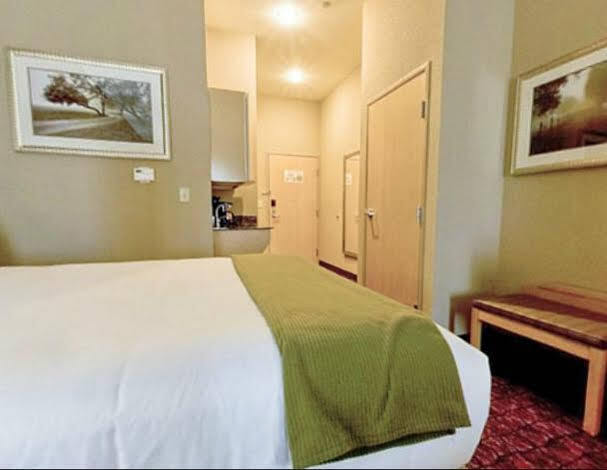 Holiday Inn Express Hotel And Suites Borger By Ihg Extérieur photo